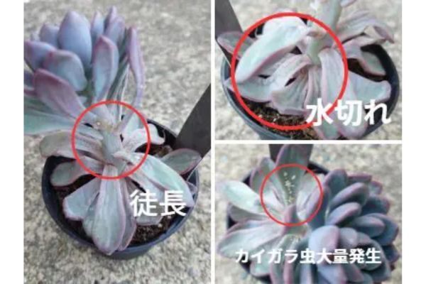 トラブル見本.jpg