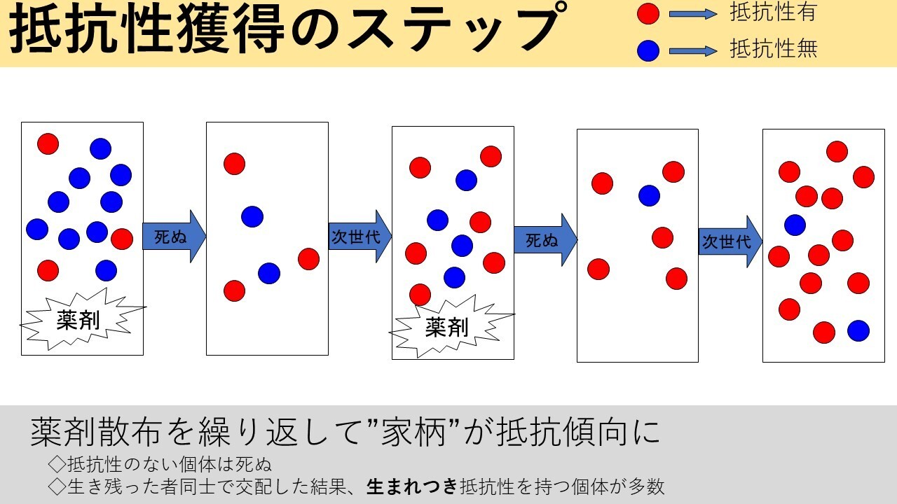 抵抗性の進化.jpg
