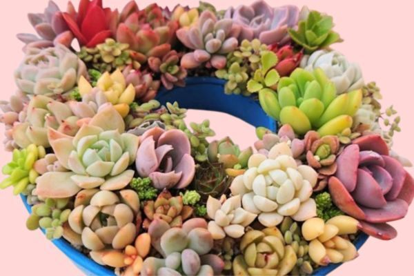 リース寄せ植え.jpg