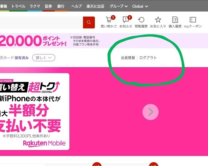 スクリーンショット 2024-11-13 21.12.13-EDIT.jpg