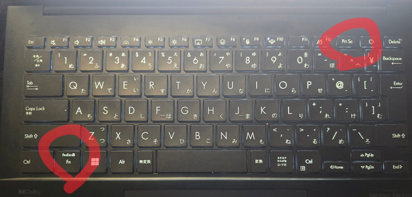 1000008295.jpg