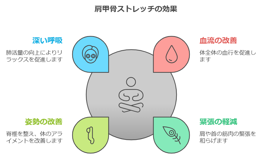 napkin-selection (14).png