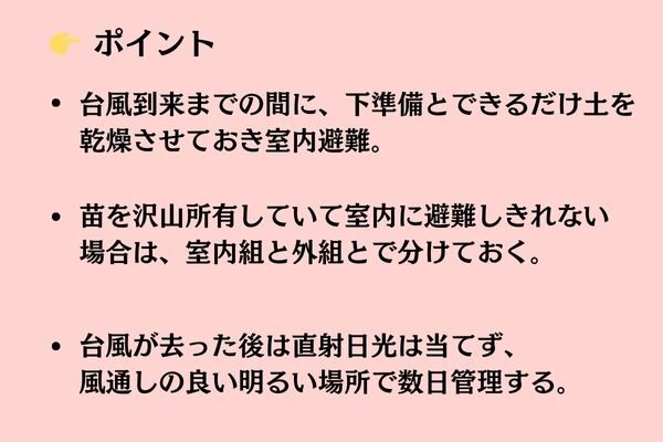 台風対策ポイント1.jpg