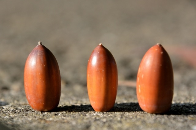 22586227_s.jpg