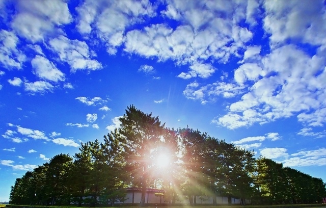 31135958_s.jpg