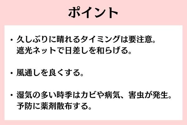 梅雨のポイント.jpg