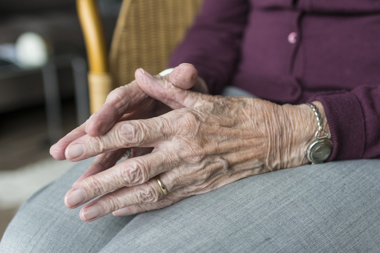 hand-2906425_1920.jpg