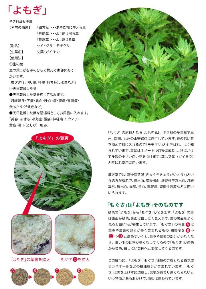 お灸教室２.jpg