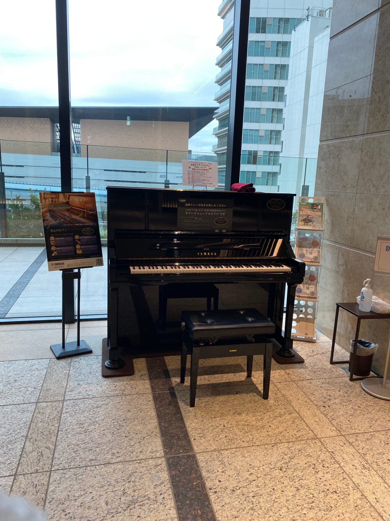 IMG_6479.jpeg
