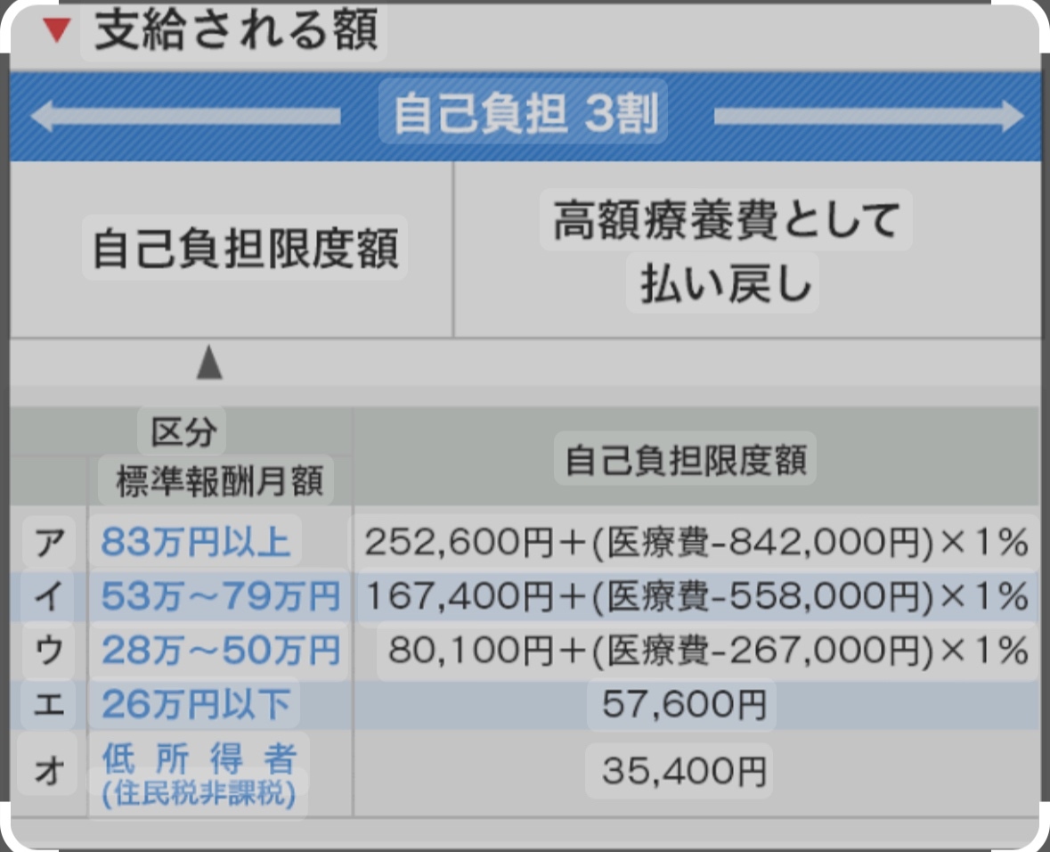 IMG_1295.jpeg