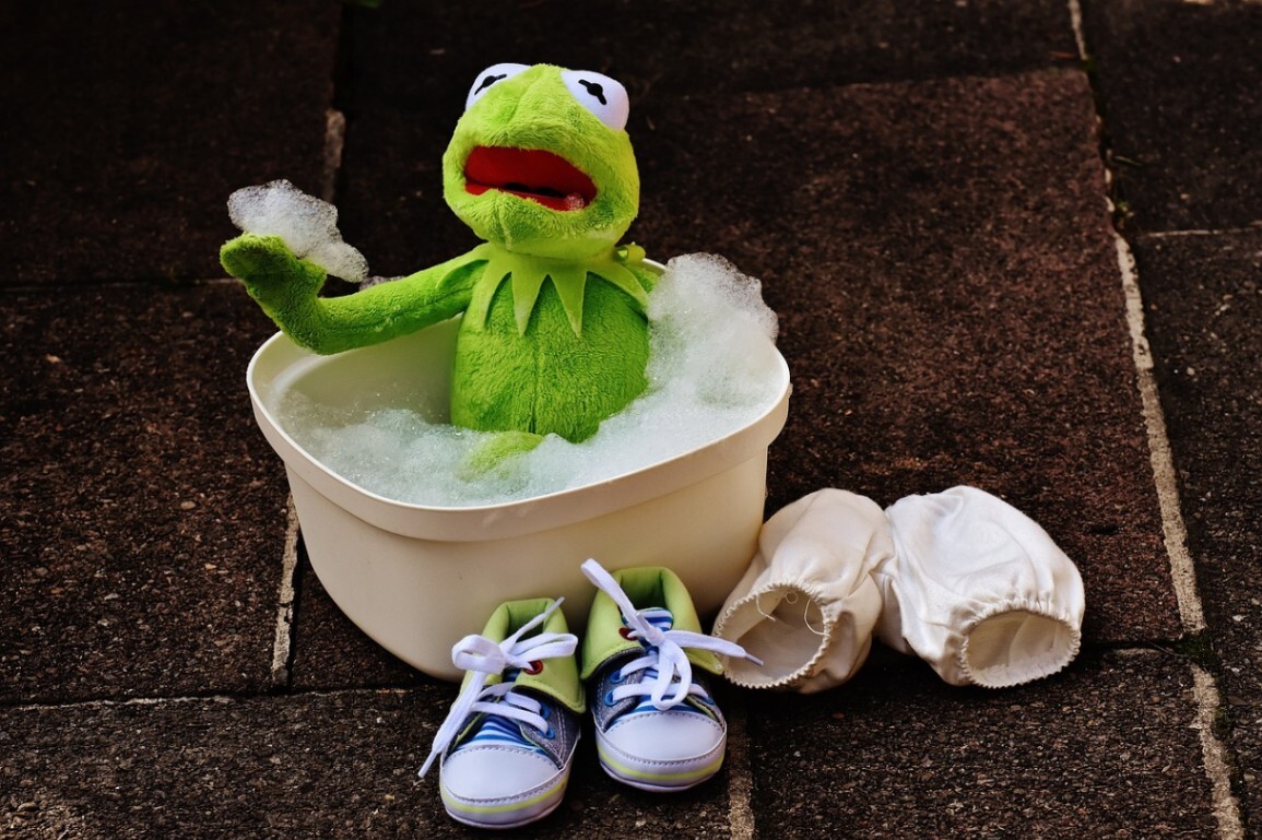 kermit-1745806_1280.jpg