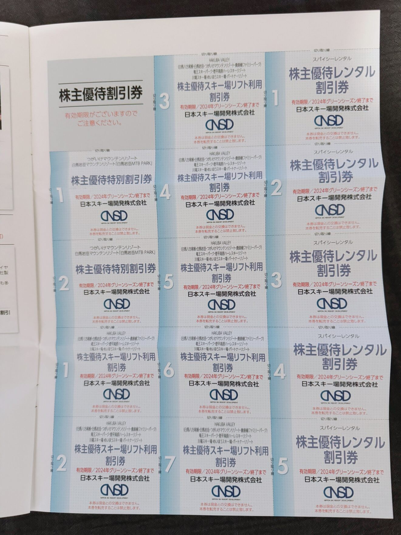 kabunushiyutai.JPG