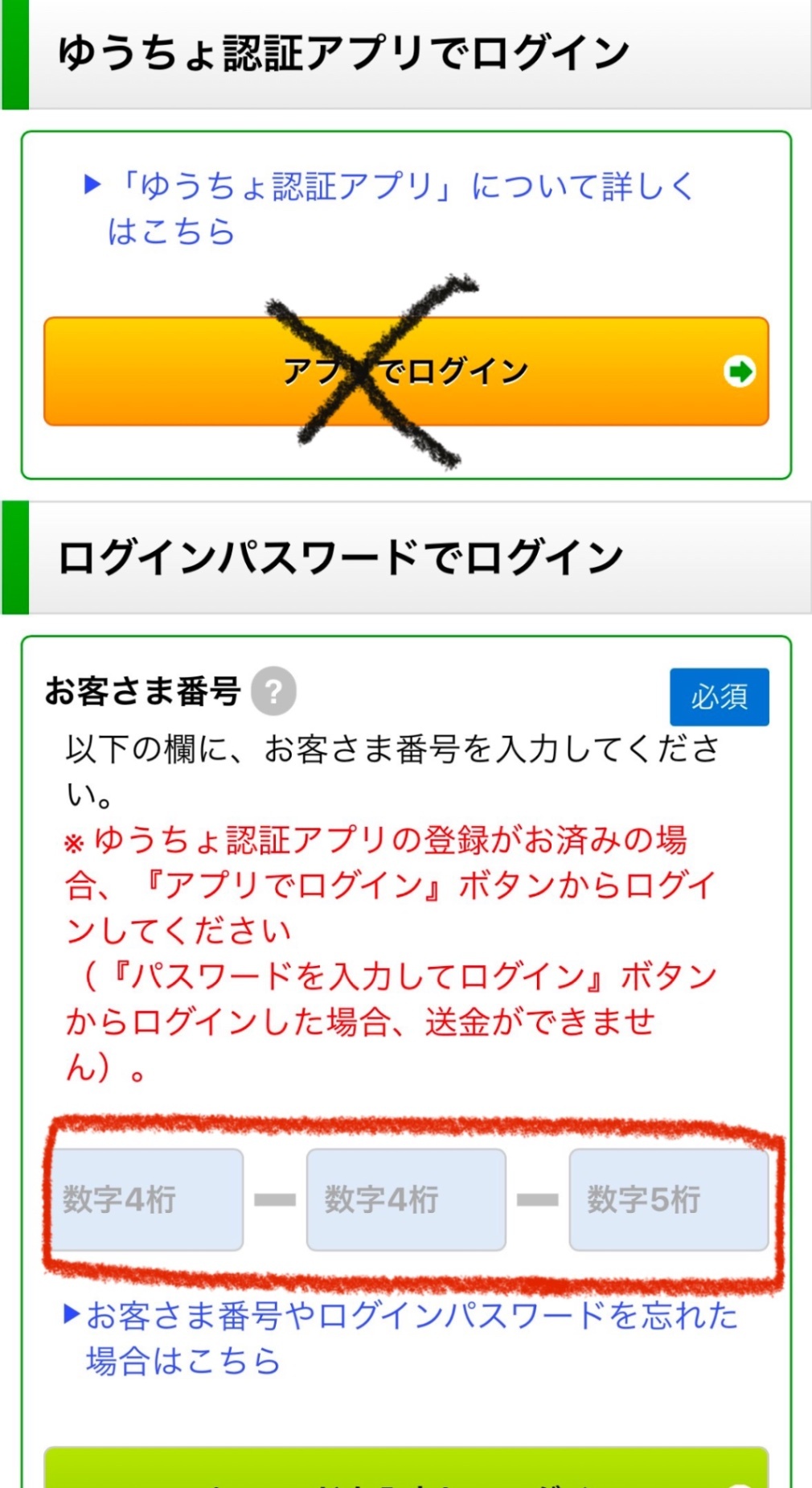 IMG_2204.jpeg