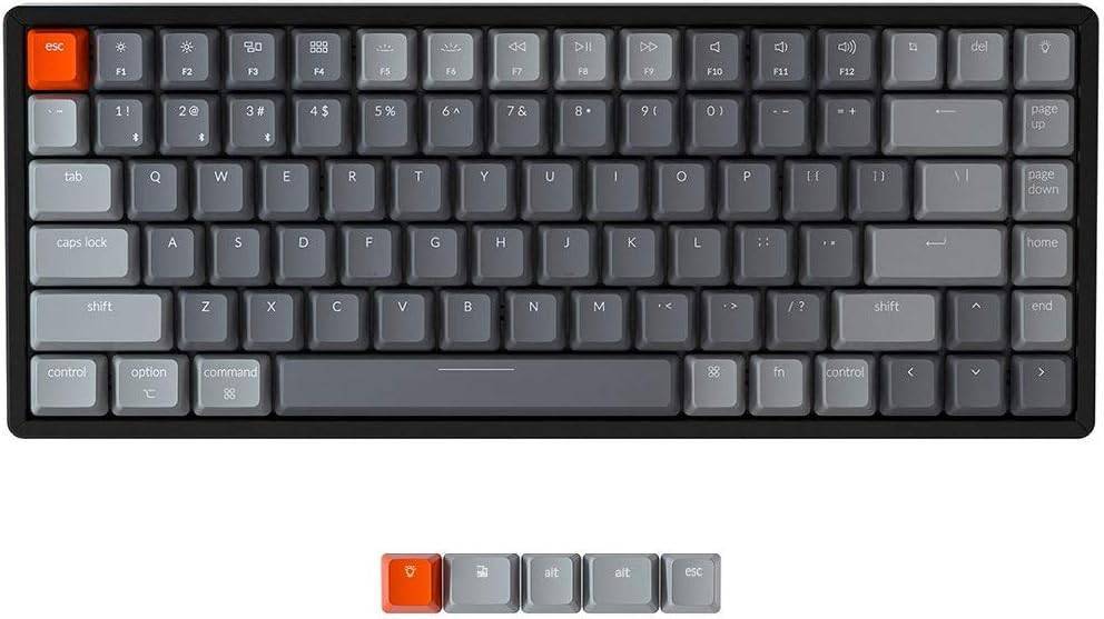61x2sVoj6GL._AC_SL1000_.jpg