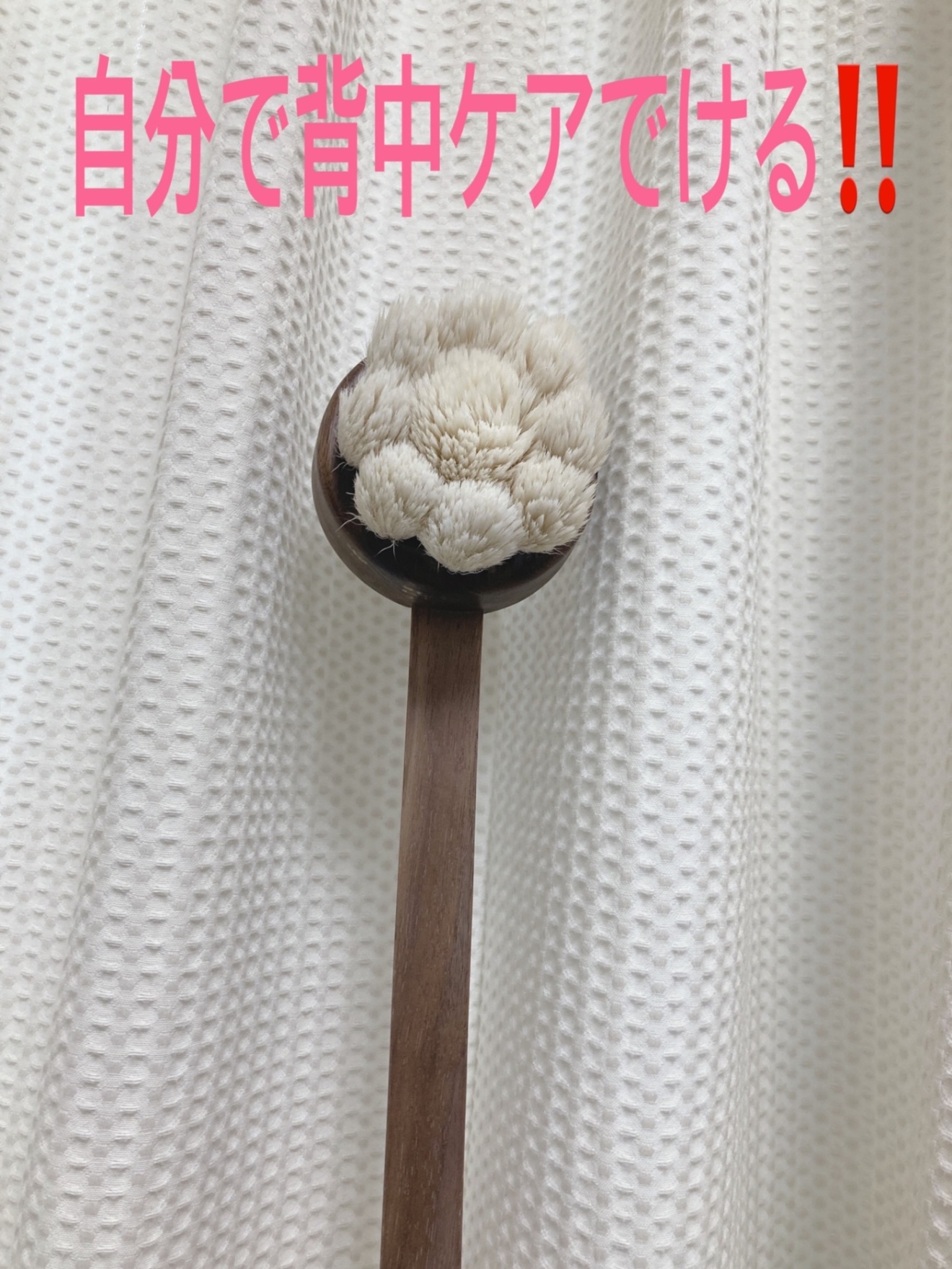 IMG_7031.jpeg