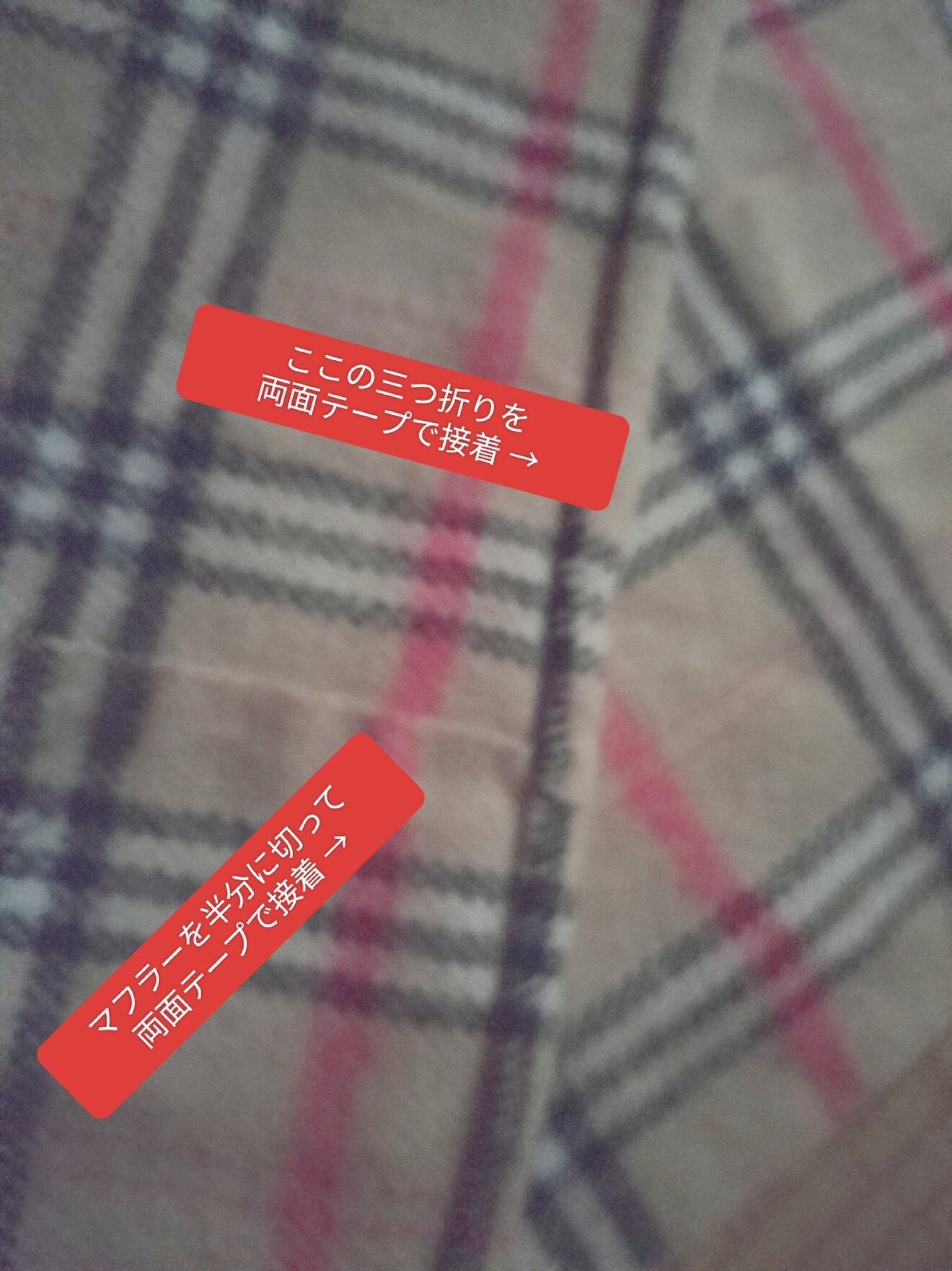 1000022986.jpg