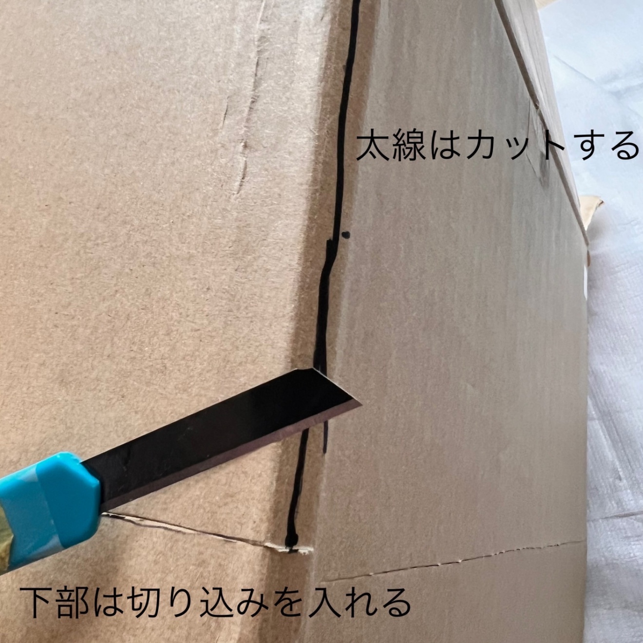 image_picker_054E7CA2-7C96-4195-90E2-9E01A97DC6DA-336-0000005CED16FA92.jpg