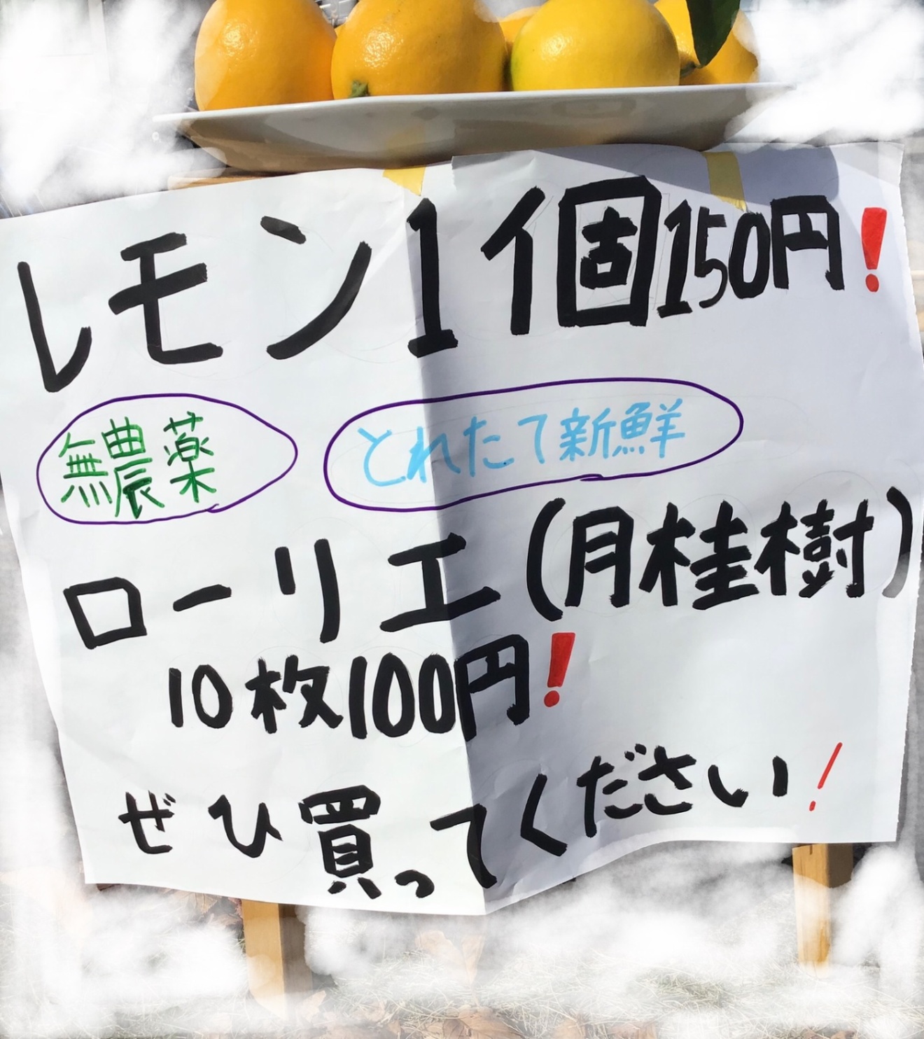 IMG_1272.jpeg