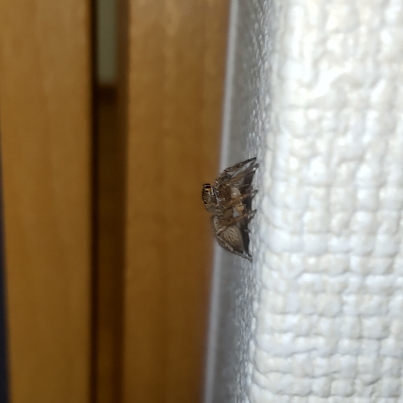 DSC_1172.JPG