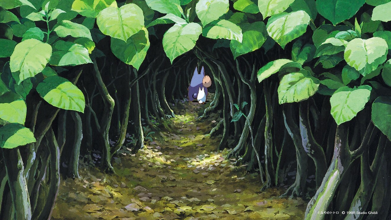 totoro1.jpg