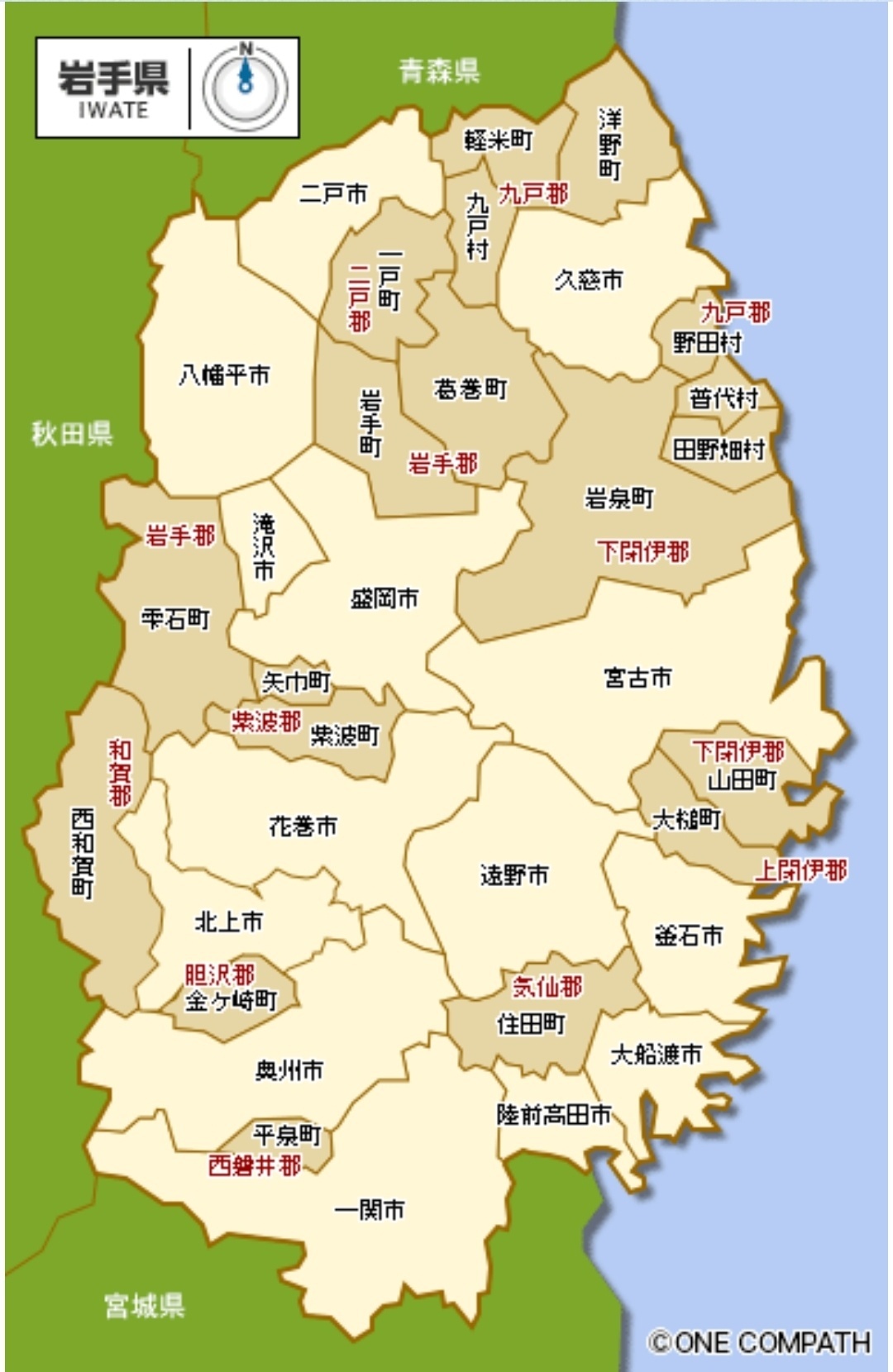 1000011179.jpg
