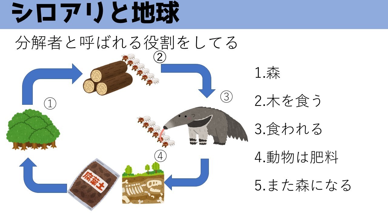 分解.jpg