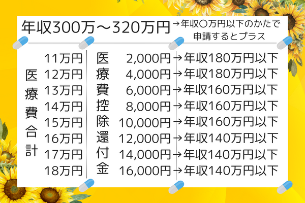 医療費控除300万円 (3).png