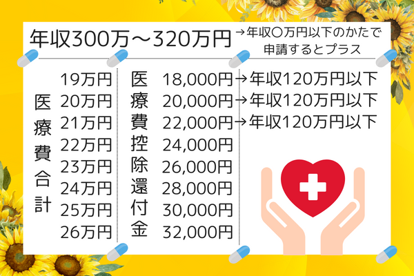 医療費控除300万円 (4).png