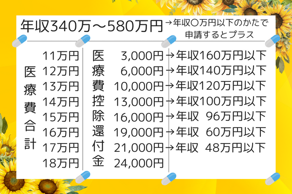 医療費控除300万円 (6).png