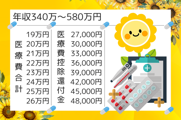 医療費控除300万円 (5).png