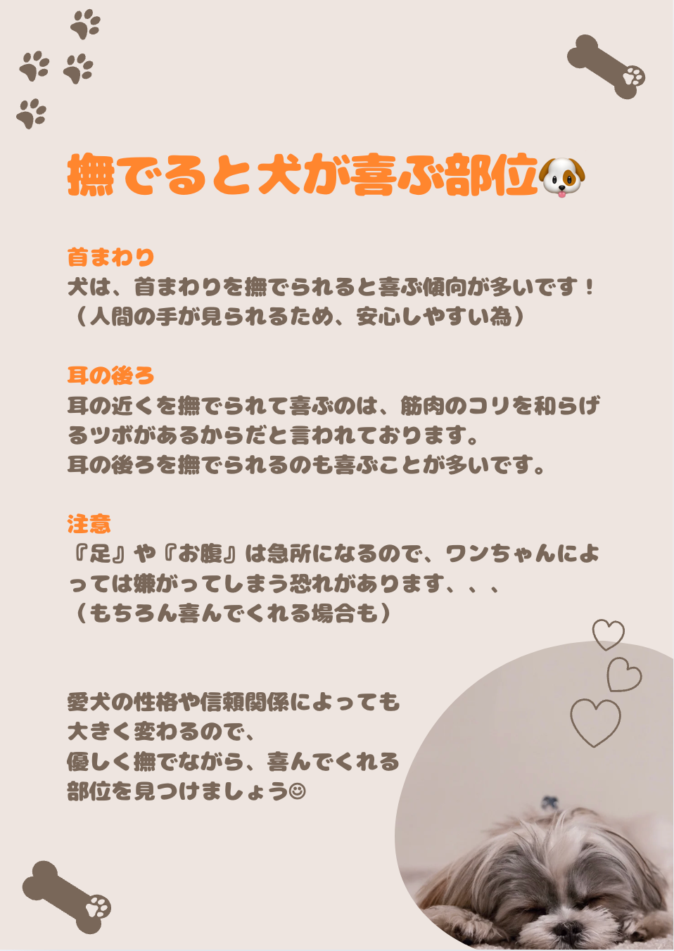 愛犬　撫でると喜ぶ部位　.png