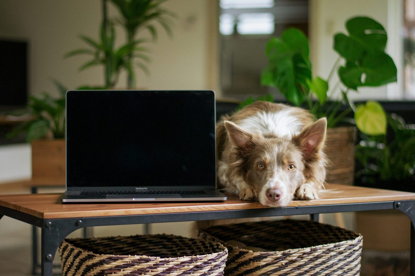 ayla-verschueren-mnHo8JI0Paw-unsplash.jpg