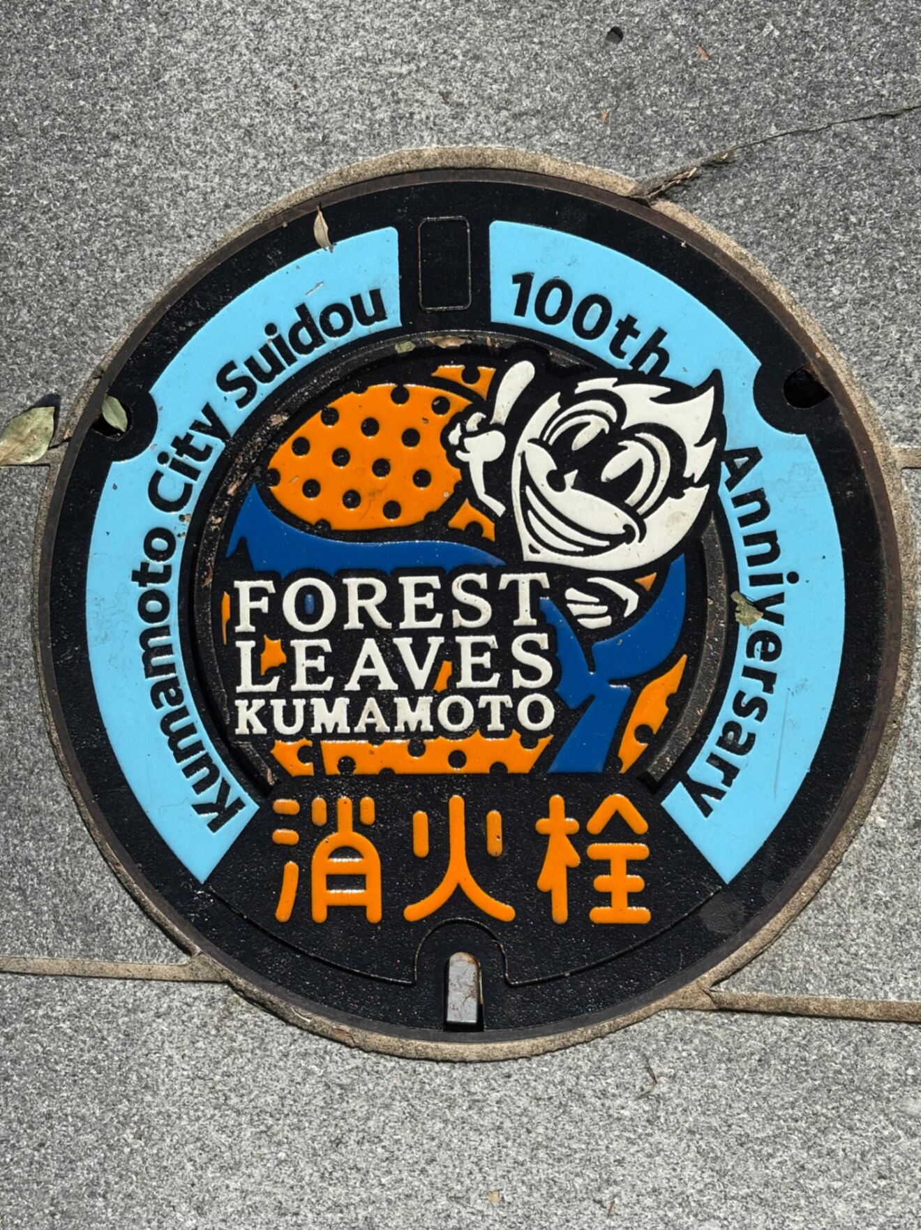 IMG_1872.jpeg