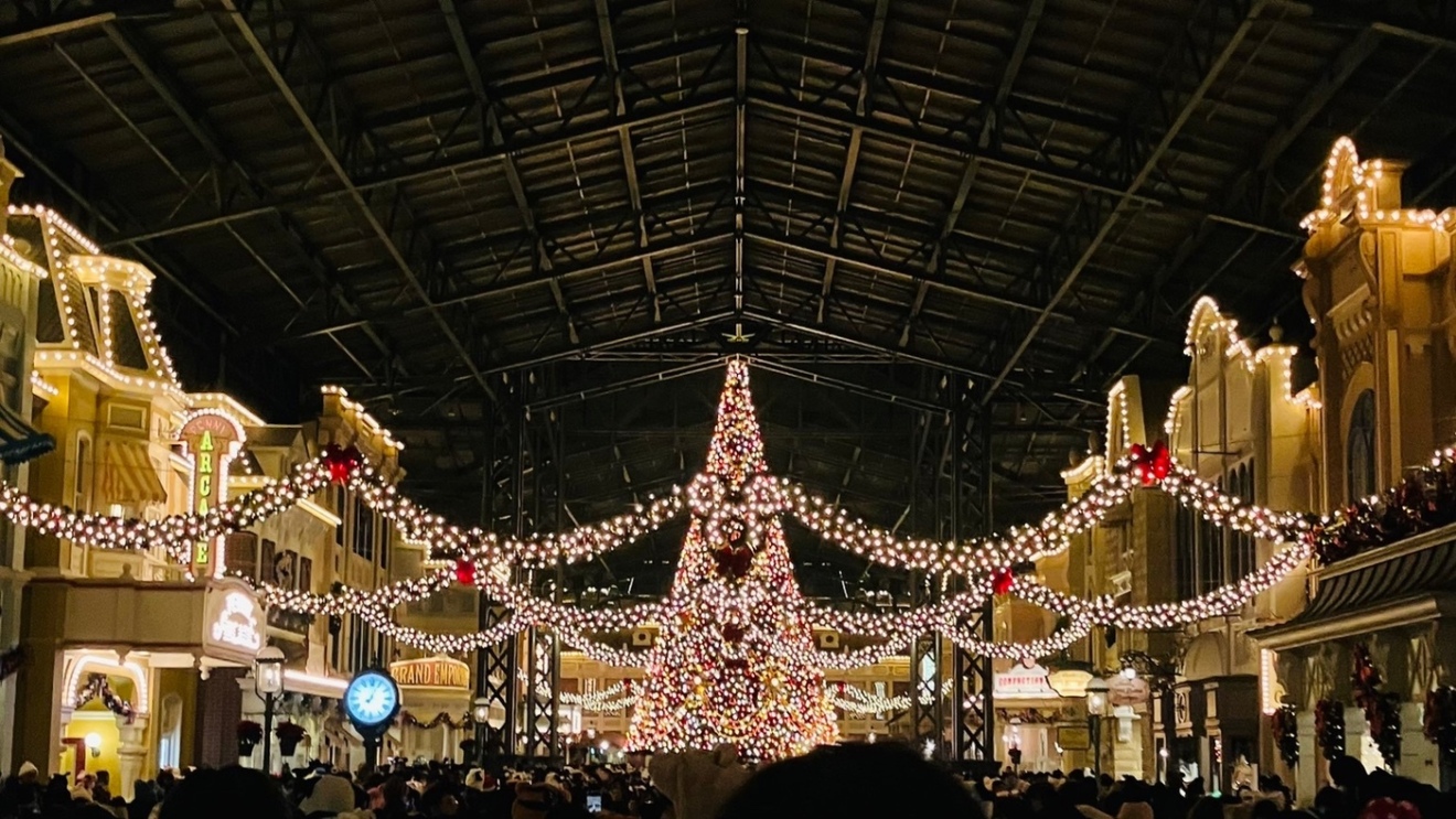 IMG_5376.jpeg