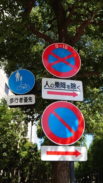 27310523_s.jpg