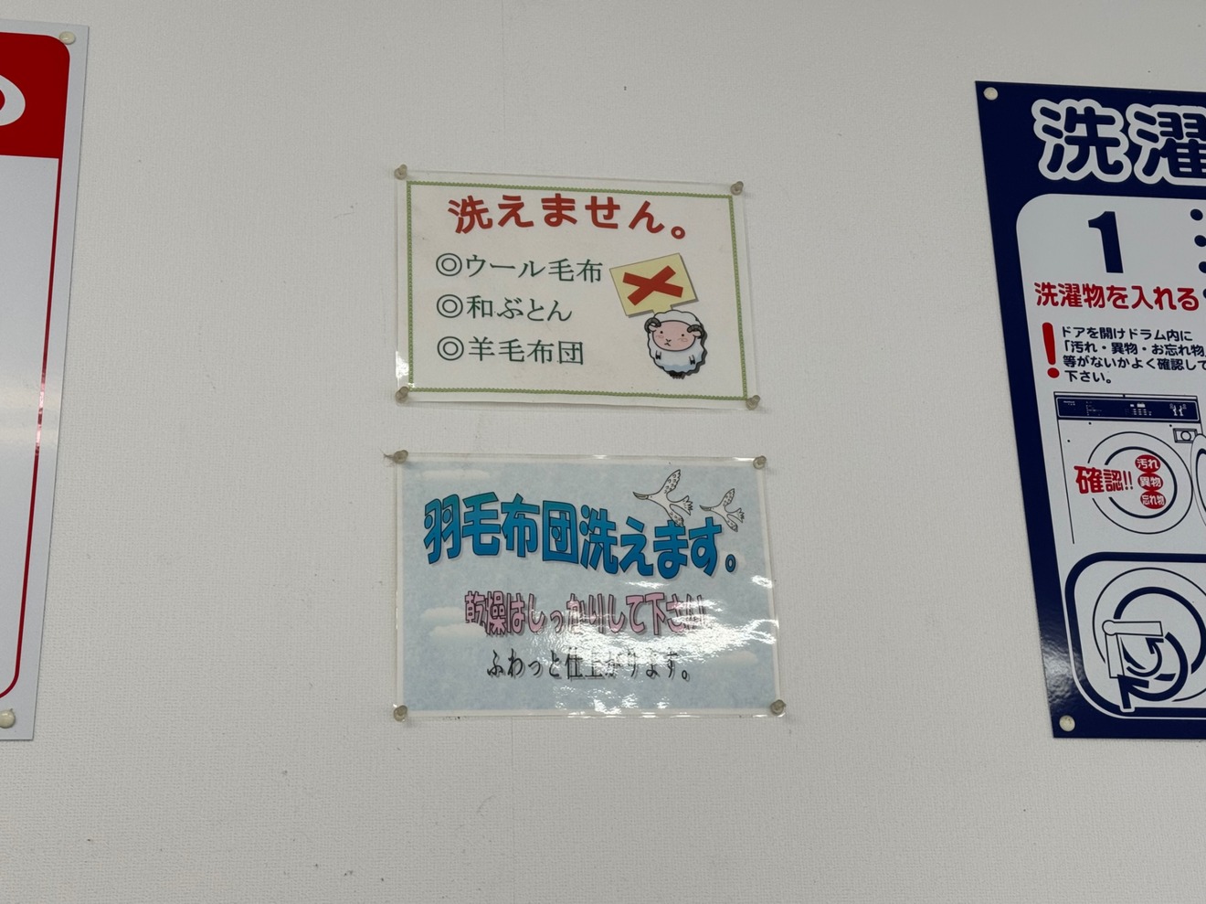 IMG_1461.jpeg