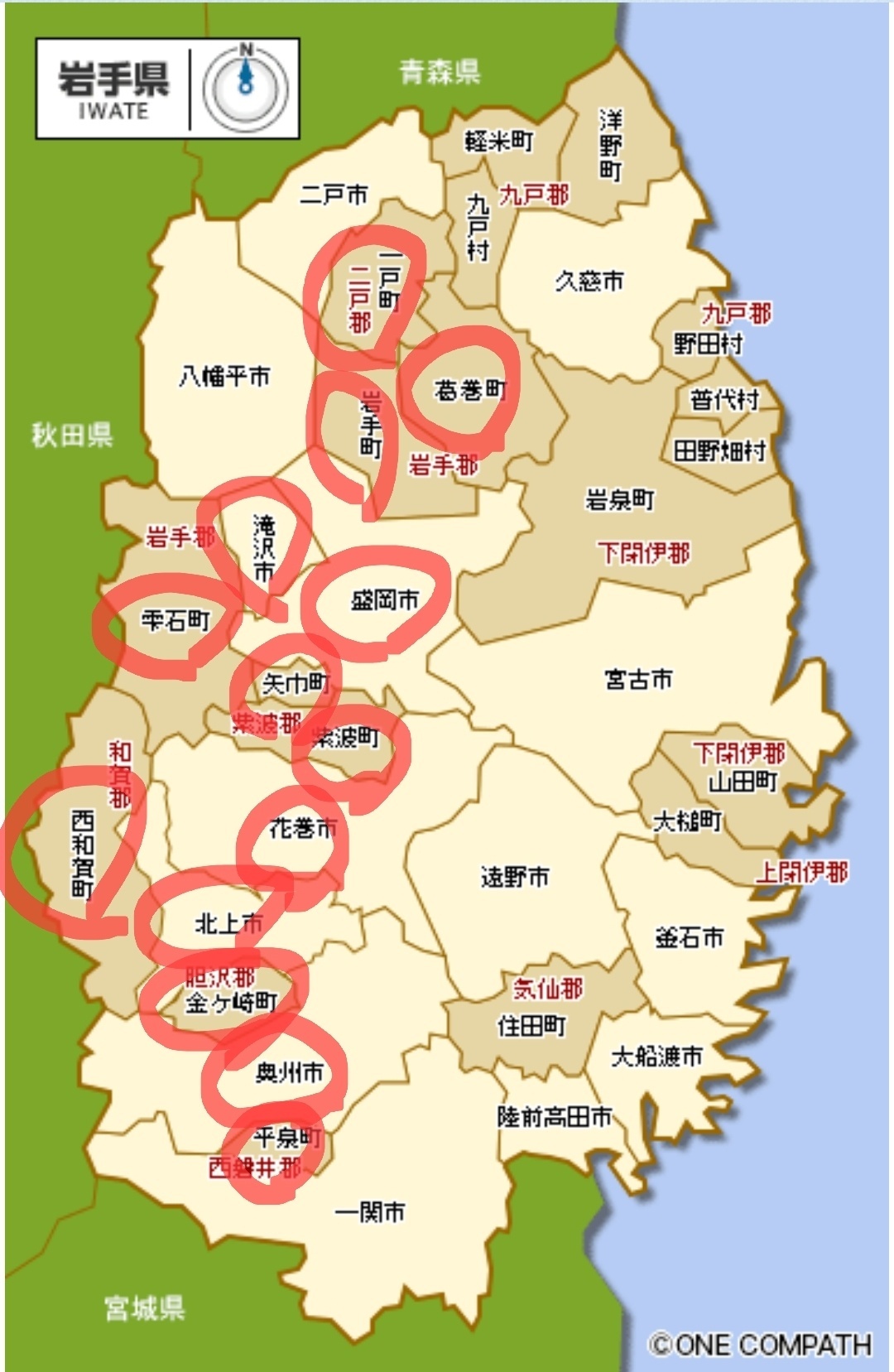 1000002206.jpg