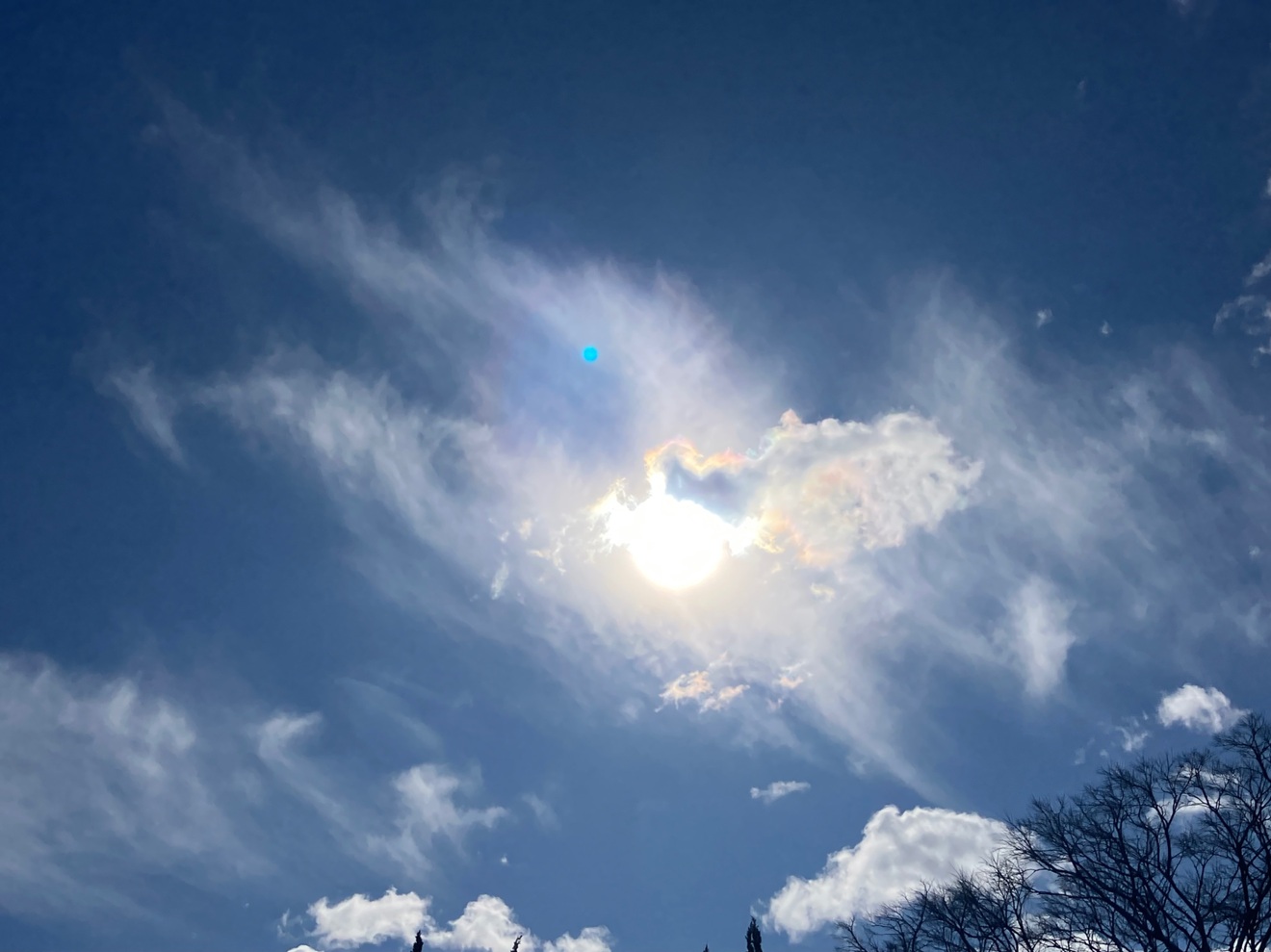 IMG_3463.jpeg