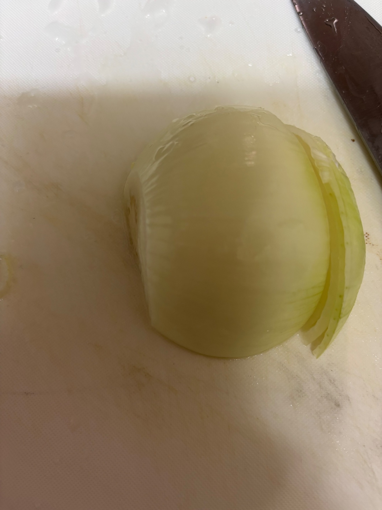 IMG_2041.jpeg