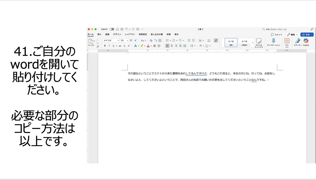 2025-03-15 13.42の画像.jpeg