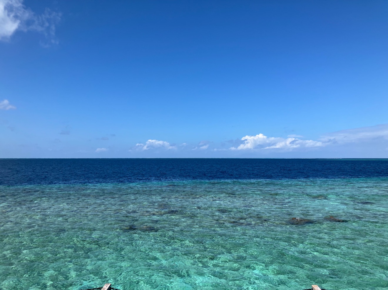 IMG_6280.jpeg
