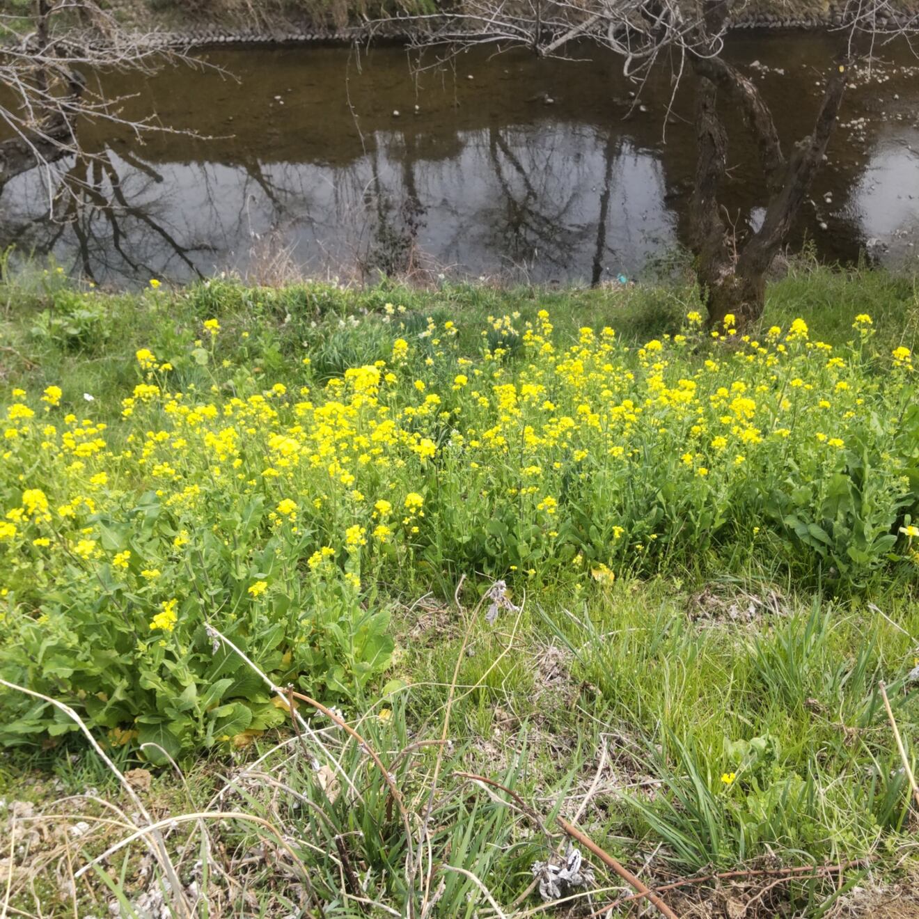 DSC_3096.JPG