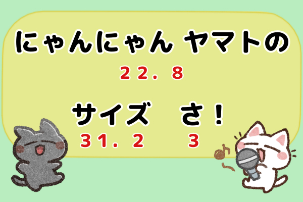 ネコポス最大サイズ.jpeg