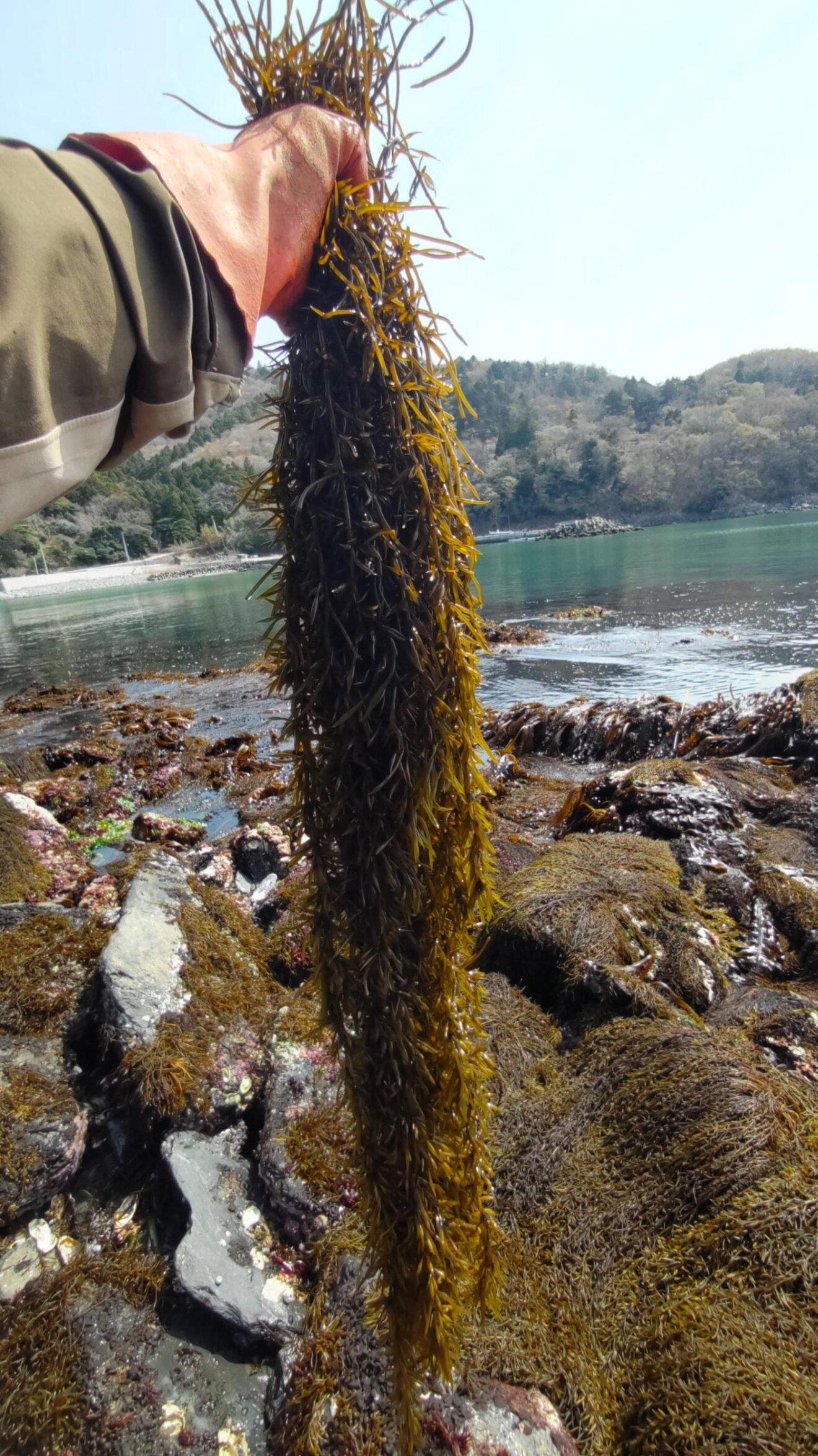 DSC_1757.JPG