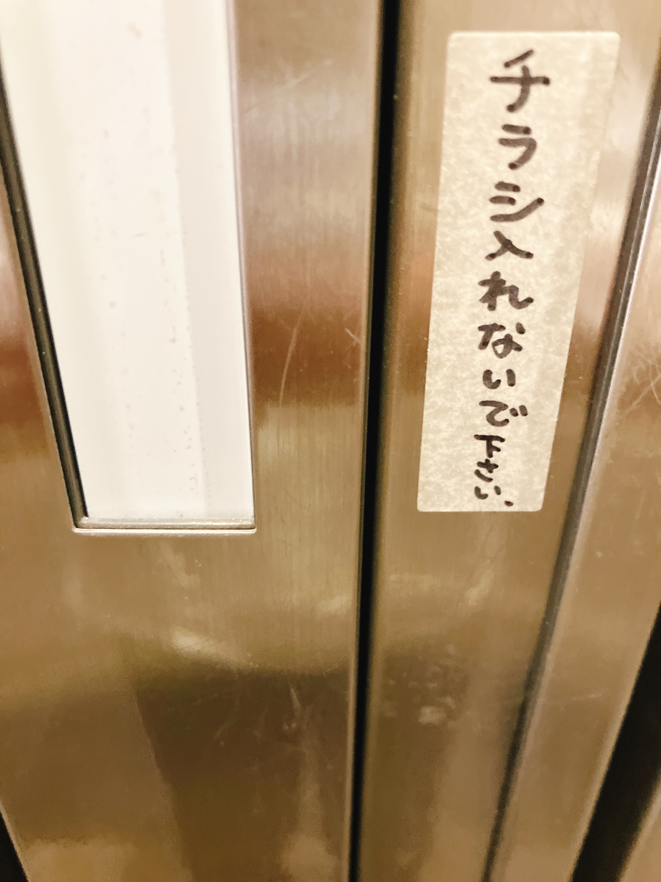 IMG_0422.jpeg