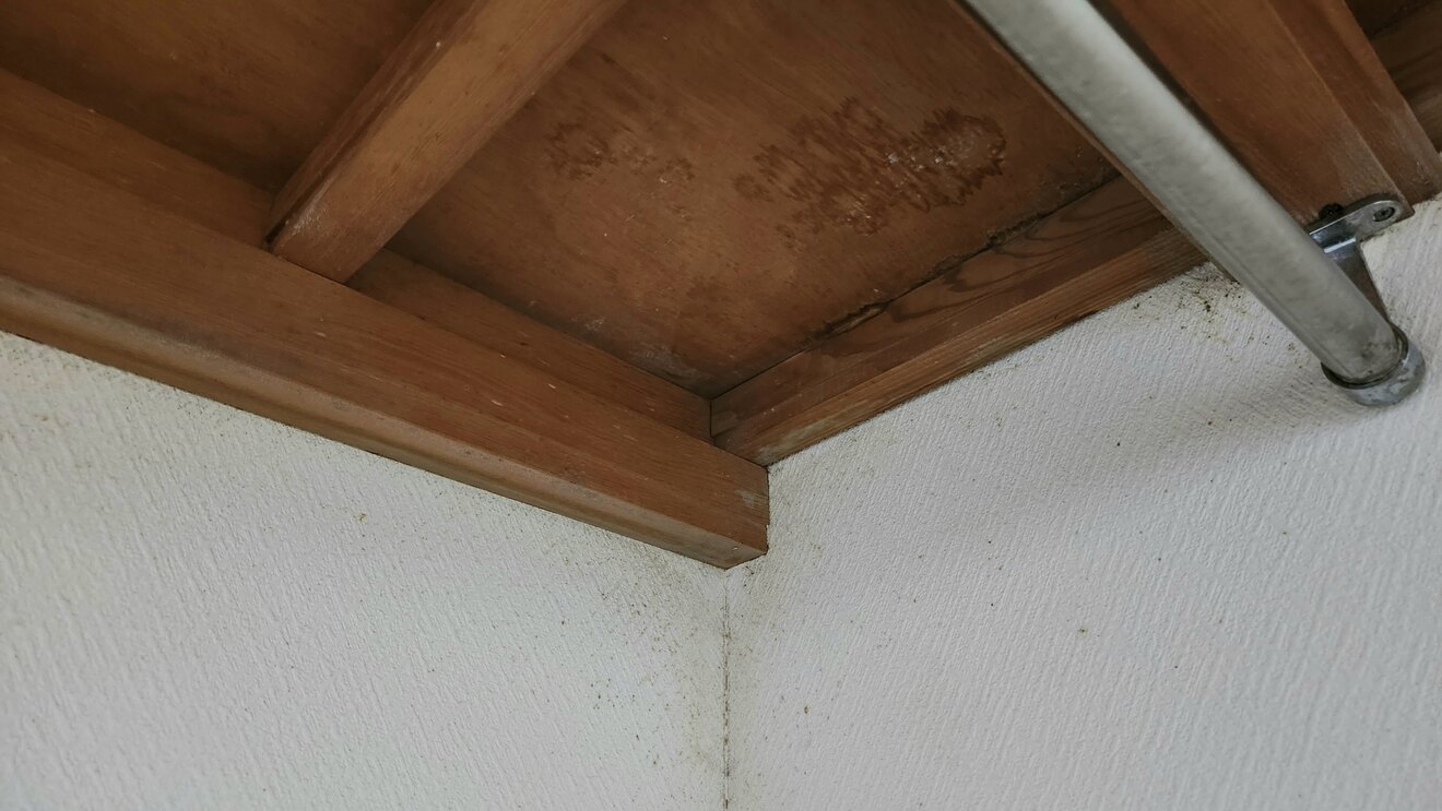 20250314_155451.jpg