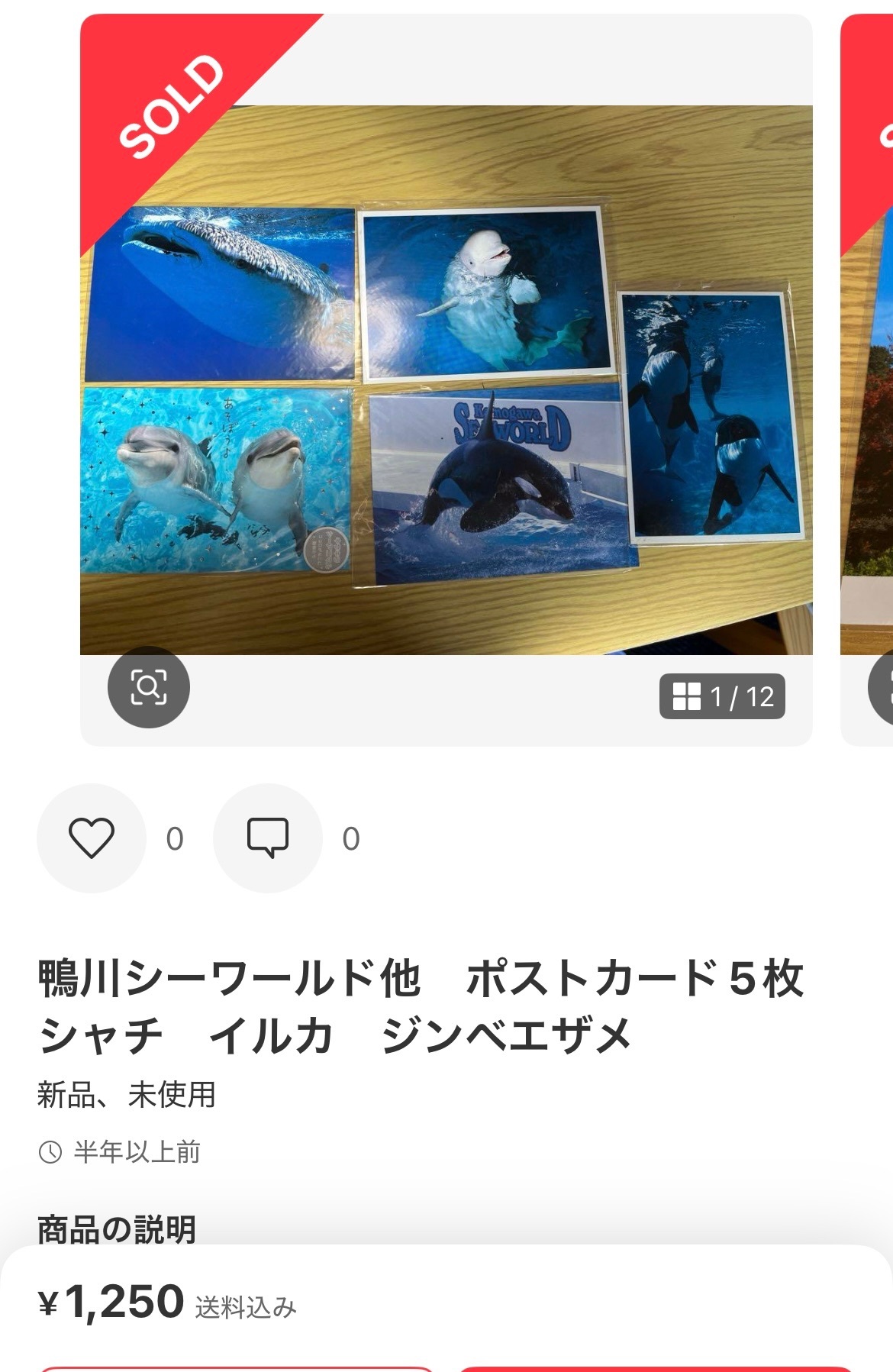 IMG_3611.jpeg