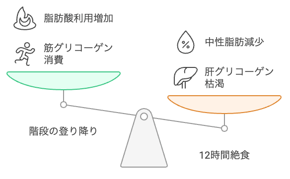 中性脂肪が下がる!　階段昇降と絶食リズムの驚きの効果 - visual selection.png