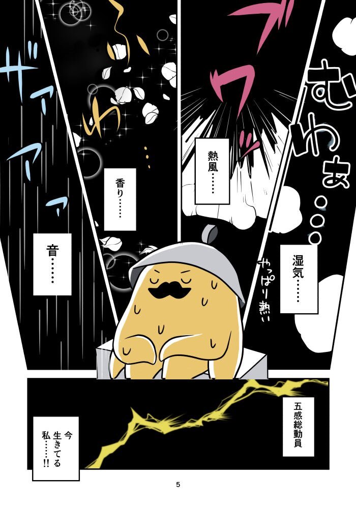 太陽のつぼみ_出力_005.jpg