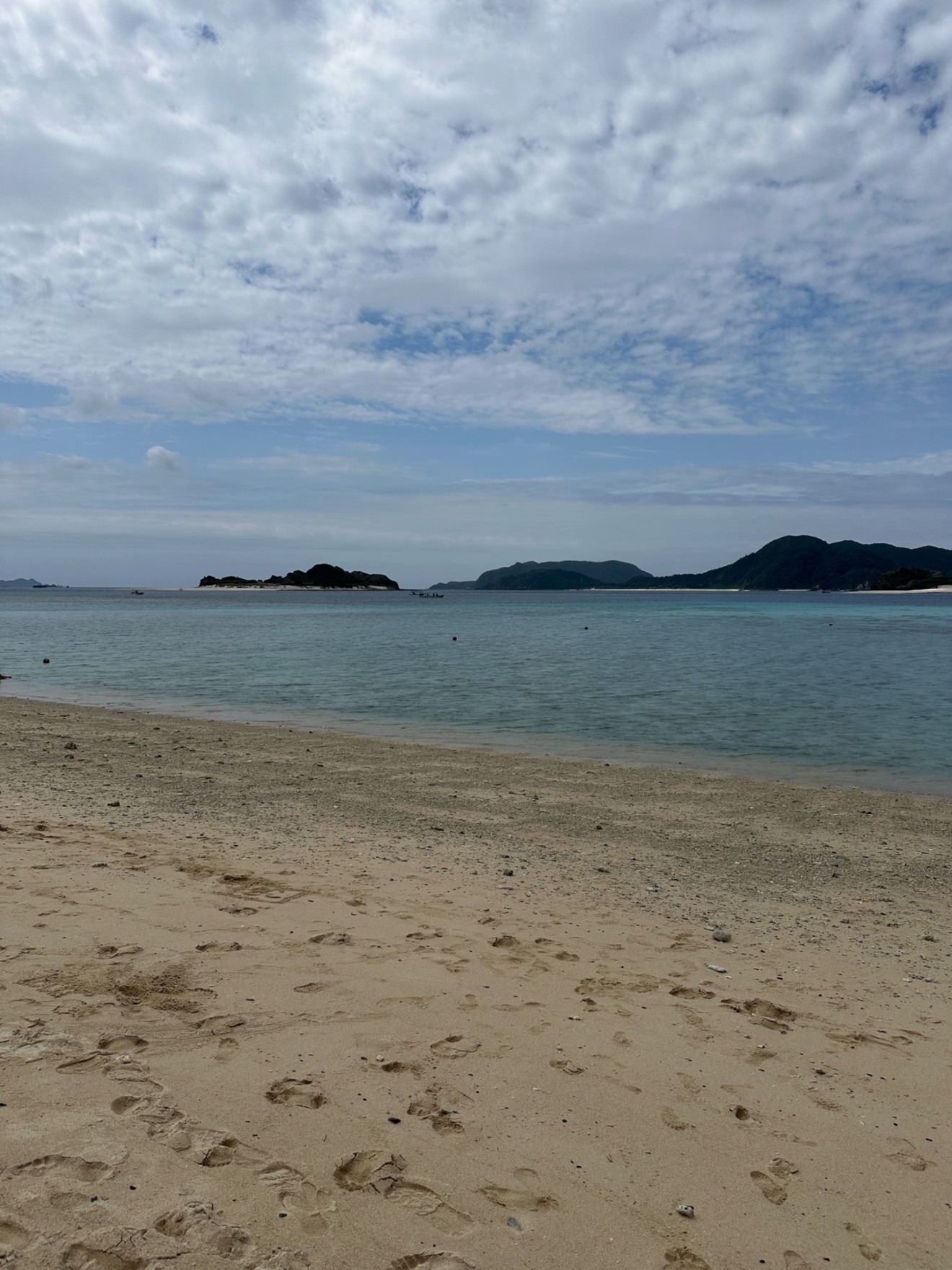 IMG_0680.jpeg